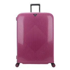 Decent Axiss-Fix 4 Wiel Trolley 78 Lavendel