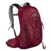 Osprey Talon 11 Backpack S/M Cosmic Red