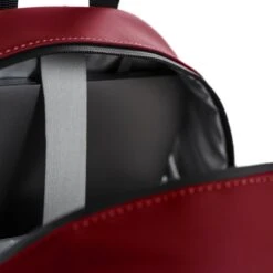 Daniel Ray Montgomery Waterafstotende Rugtas Red -Ospre Koffers Winkel image 23456