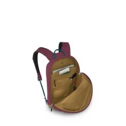 Osprey Arcane Small Day Allium Red/brindle Brown -Ospre Koffers Winkel image 24958