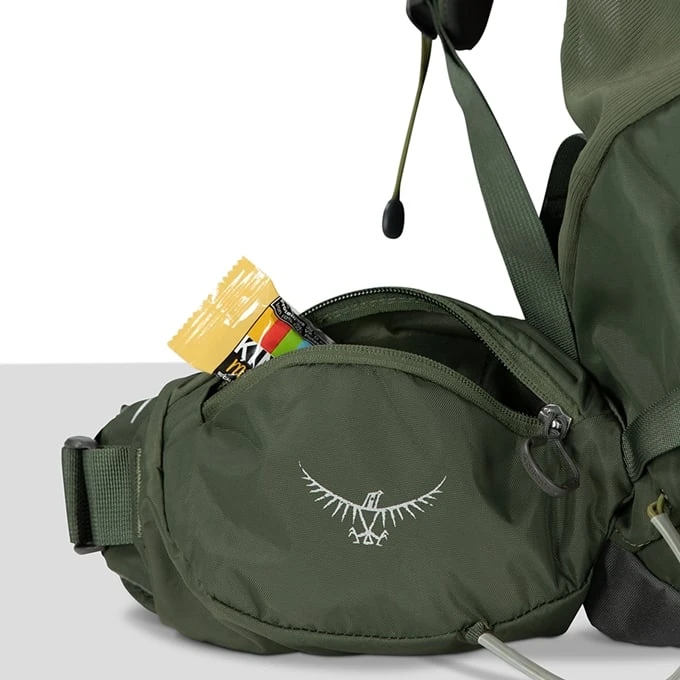 Osprey Kestrel 58 L/XL Bonsai Green 15 Osprey Kestrel 58 L/XL Bonsai Green - Afbeelding 15