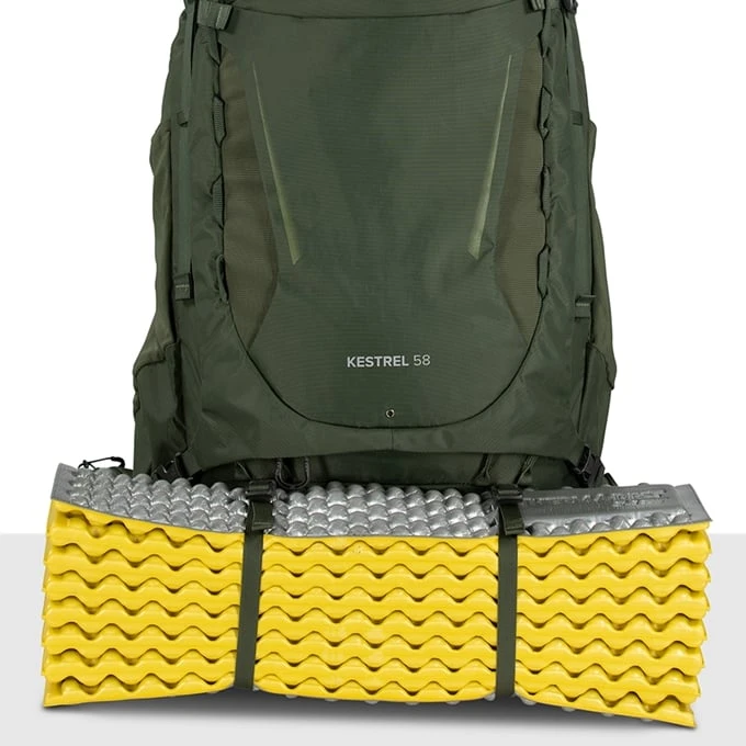 Osprey Kestrel 58 L/XL Bonsai Green 17 Osprey Kestrel 58 L/XL Bonsai Green - Afbeelding 17