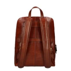 The Bridge Vespucci Backpack Brown -Ospre Koffers Winkel image 7540